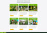 design high converting gohighlevel sales funnels and ghl automation